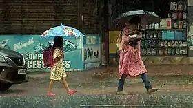 മൂന്ന് ജില്ലകളില്‍ നാളെ വിദ്യാഭ്യാസ സ്ഥാപനങ്ങള്‍ക്ക് അവധി; വടക്കന്‍ കേരളത്തില്‍ മഴ കനക്കും