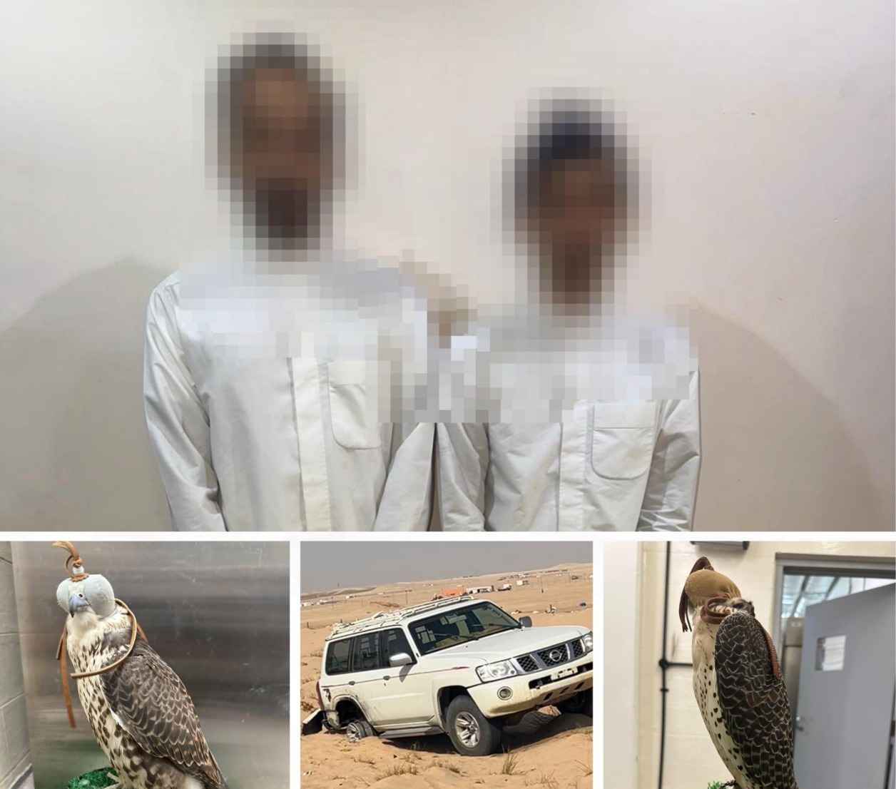 പരിസ്ഥിതി സംരക്ഷണം: സംരക്ഷിത മേഖലയിൽ വേട്ടയാടിയതിന് രണ്ട് പേർ അറസ്റ്റിൽ