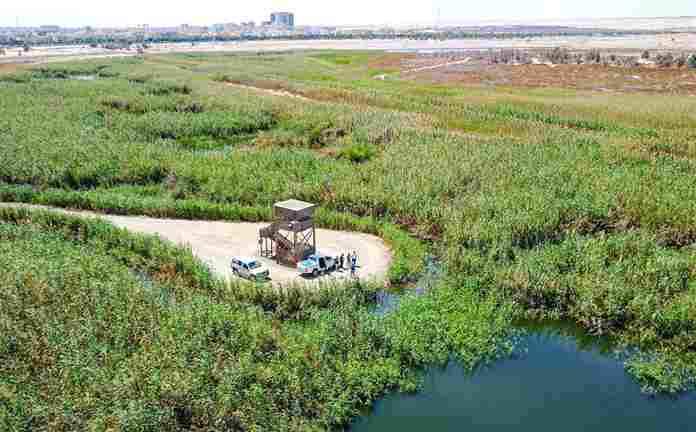 ജഹ്‌റ പ്രകൃതി സംരക്ഷിത കേന്ദ്രം തുറക്കുന്നു: സന്ദർശകർക്ക് പ്രവേശനത്തിന് നവംബർ 9 മുതൽ അനുമതി