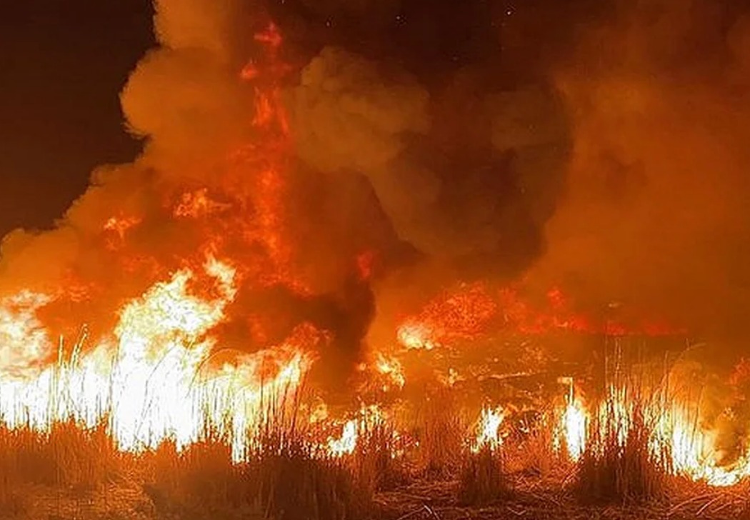 സബാഹ് അൽ-അഹ്മദ് റെസിഡൻഷ്യൽ ഏരിയക്ക് സമീപം വൻ തീപിടിത്തം: ഫയർഫോഴ്സ് നിയന്ത്രണ വിധേയമാക്കി