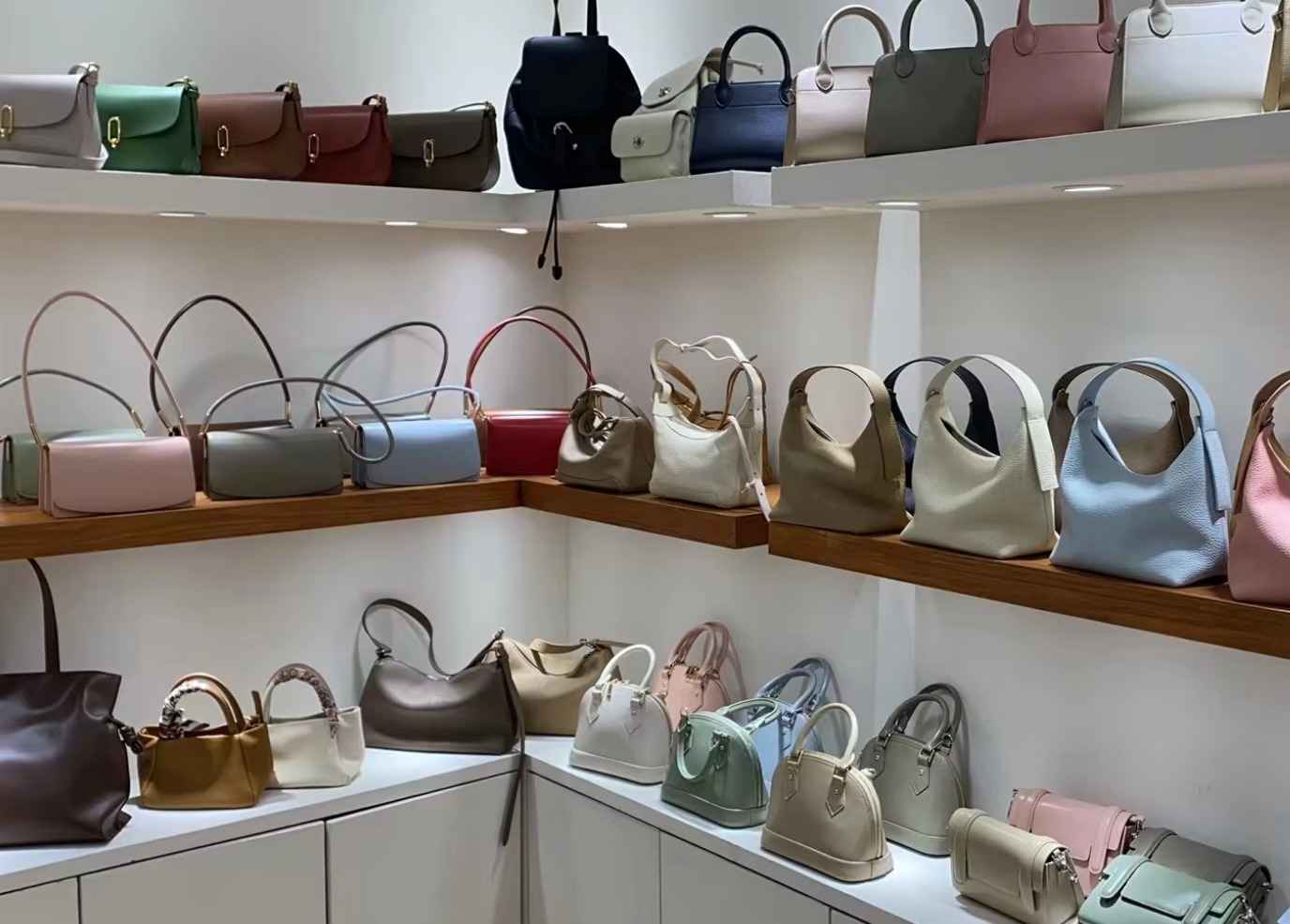 വ്യാജ ബാഗുകൾ വിറ്റ് ലക്ഷങ്ങൾ തട്ടി: ആഡംബര തട്ടിപ്പ് നടത്തിയ പ്രവാസി പിടിയിൽ