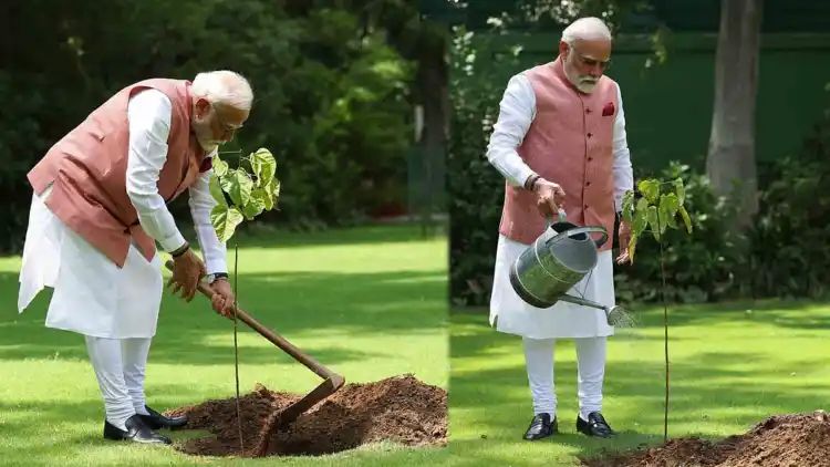 പരിസ്ഥിതി ദിനം; ഔദ്യോഗിക വസതിയില്‍ സിന്ദൂര വൃഷം നട്ട് പ്രധാനമന്ത്രി