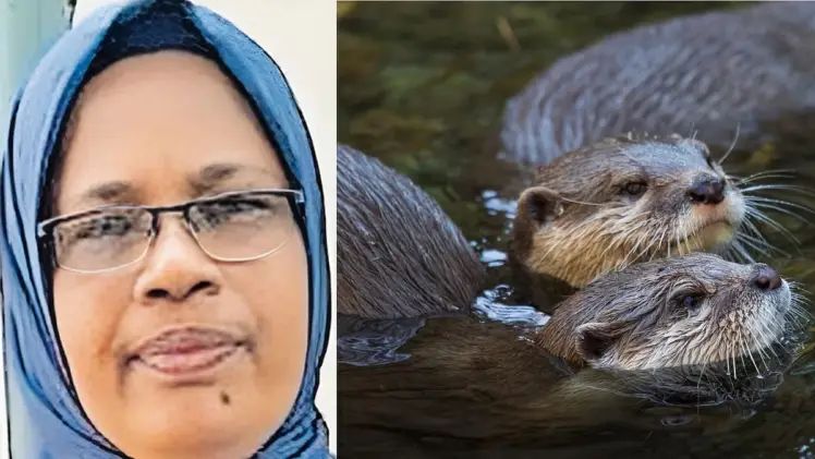 തുണി കഴുകുന്നതിനിടെ നീര്‍നായ കടിച്ചു; ചികിത്സയ്ക്ക് ശേഷം വീട്ടിലേക്ക് മടങ്ങിയ 53കാരി കുഴഞ്ഞുവീണു മരിച്ചു