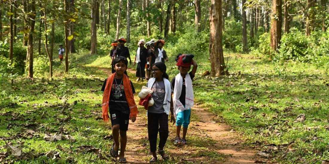 ശബരിമല കാനന പാത നേരത്തെ തുറന്ന് തരണമെന്ന് ഭക്തന്റെ ആവശ്യം; തളളി ഹൈക്കോടതി