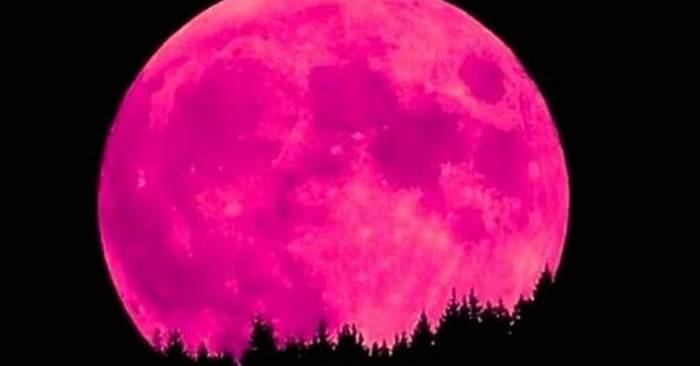 Strawberry Moon to Grace UAE Skies on June 11: A Rare Celestial Sight in Nearly Two Decades