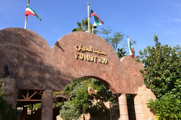 Kuwait Zoo Ownership Transfer Rumors Denied