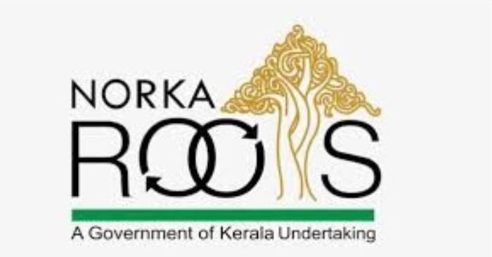 Expatriates Struggle with Norka Roots’ New Website Due to Usability Issues