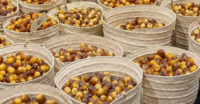 Liwa Date Festival 2025 Returns with Competitions, Cultural Events, and Over $2.36 Million in Prizes