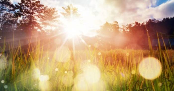 UAE Records Scorching 50.4°C in Al Shawamekh — Essential Tips to Beat the Heat