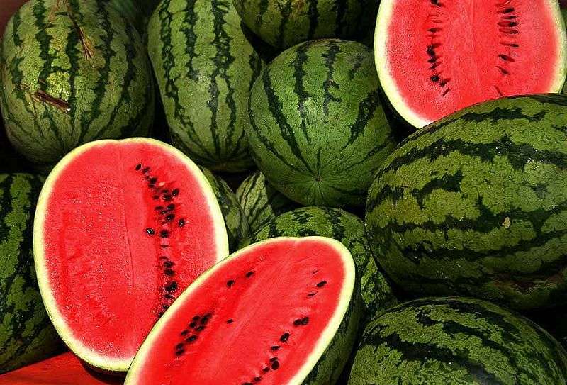 Saudi Arabia Hits Record Watermelon Harvest: Over 610,000 Tonnes This July