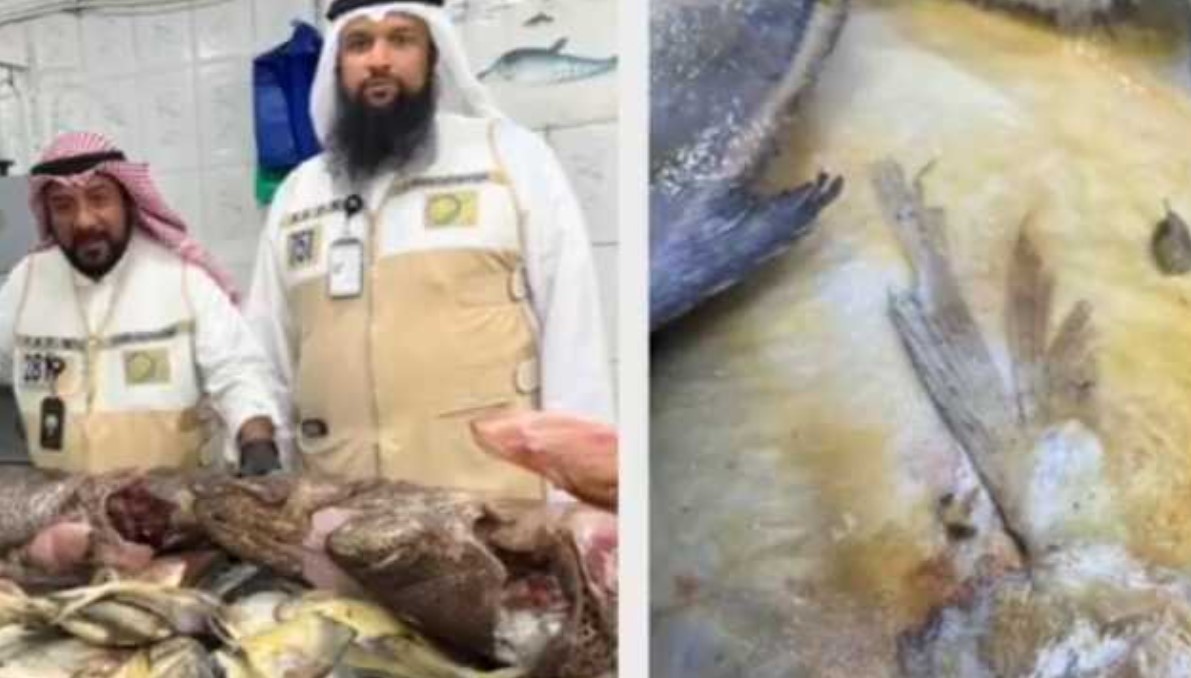 Ninety kilograms rotten fish found in Mubarakiya market 