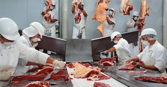 UAE Shuts Down Illegal Slaughterhouses Ahead of Eid al-Adha