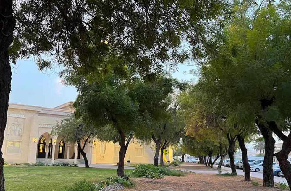 UAE Experiences Intensifying Winter Chill, Records Low of 9.8°C