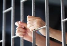 Kuwait arrests Egyptian expat over alleged fake salary certificate scheme